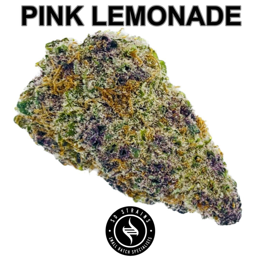 SD Strains Flower | PINK LEMONADE |