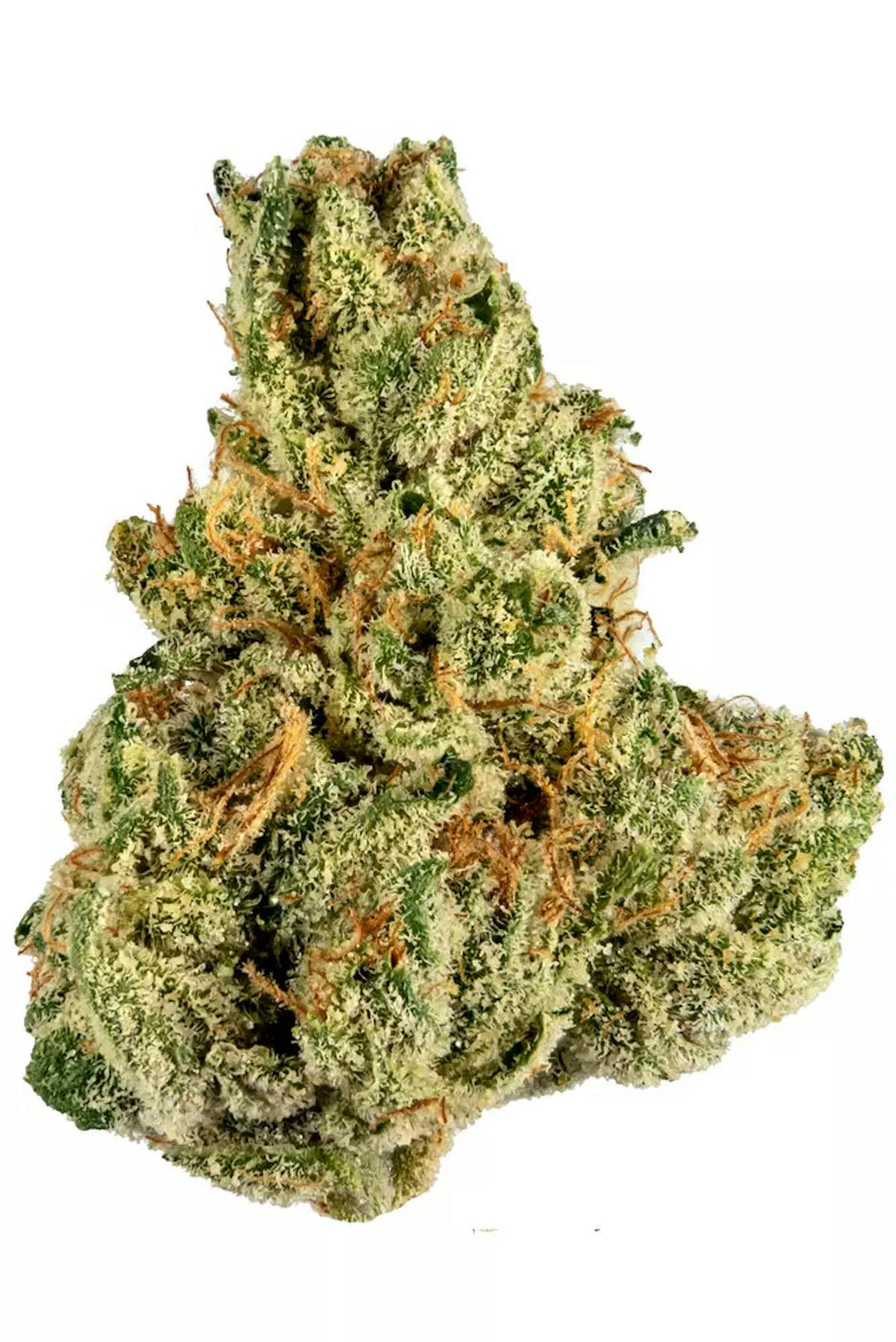 Stems Wellness 1oz Premium Flower TROPICANA HAZE