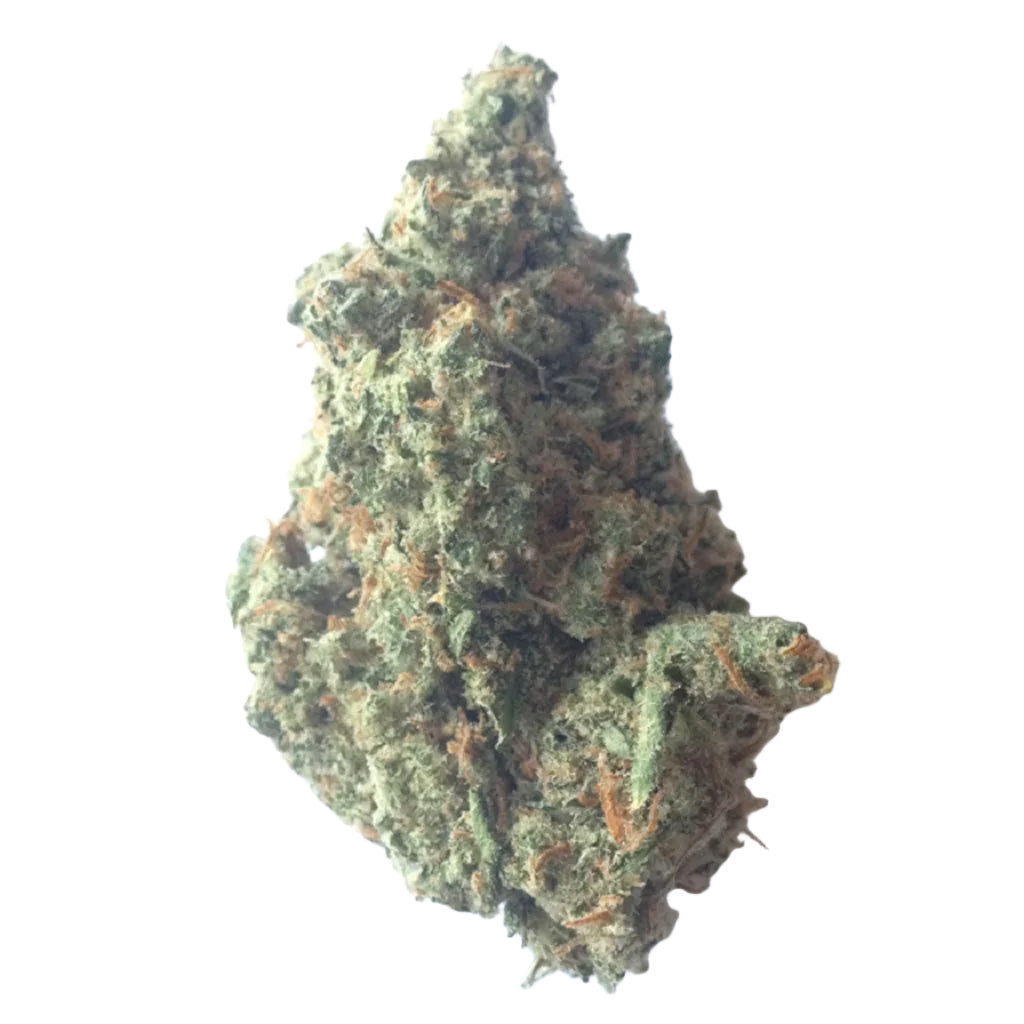 Close-up of a cannabis bud on a white background