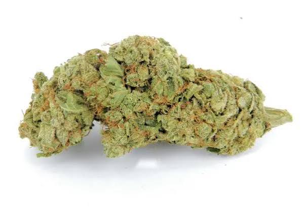 Stems Wellness Premium Cannabis Flower – CHOCOLATE THAI