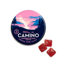 Camino Gummies CHILL | WILD BERRY