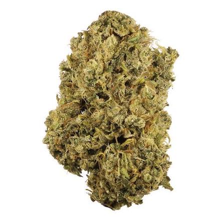 Stems Wellness Indoor Premium Cannabis Flower – DURBAN POISON