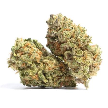 Stems Wellness Premium Indoor Cannabis Flower – GODFATHER OG