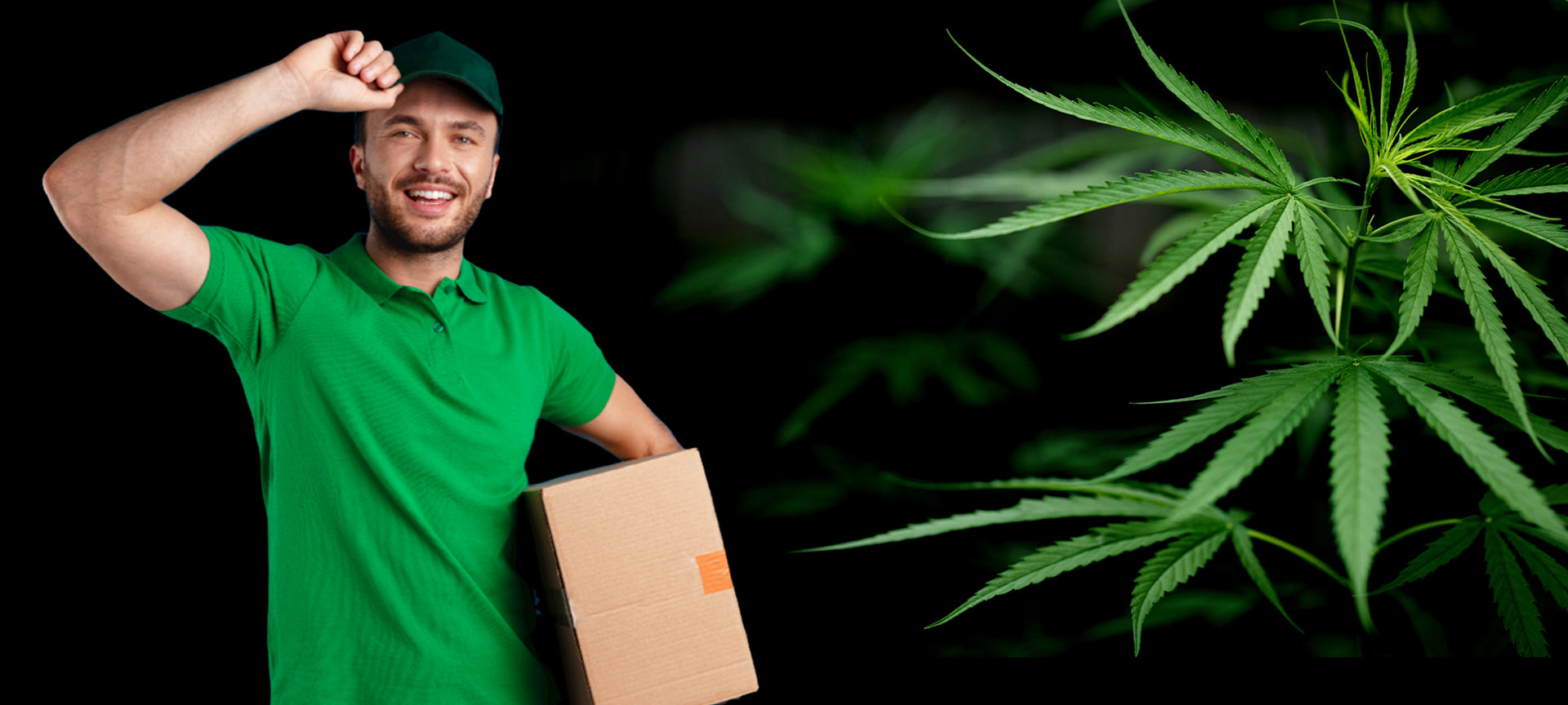 jurupa valley cannabis delivery