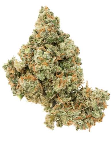 Stems Wellness Premium Cannabis Flower – JACK HERER