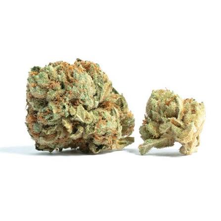 Premium Fire Indoor Cannabis Flower Smalls – CHERRY GELATO