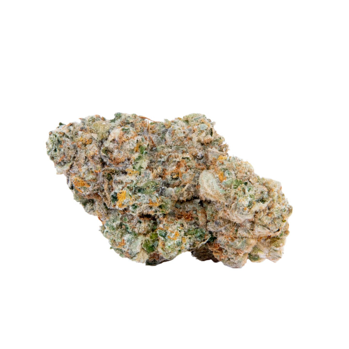 PURE BEAUTY Indoor Flower BURMESE BANG BANG