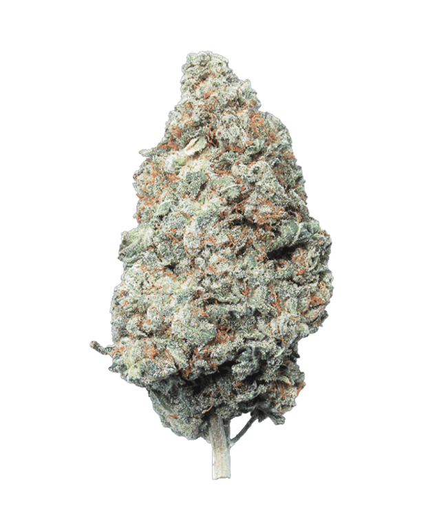 Stems Wellness Premium Indoor Cannabis Flower – GORILLA CAKE