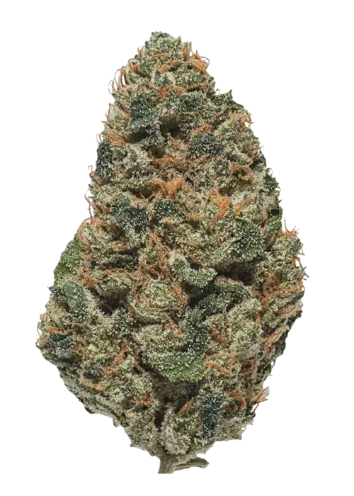 Stems Wellness Premium Cannabis Flower – MAI TAI