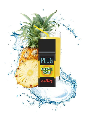 PLUGplay 1g Pod PINEAPPLE COOLER - ID Delivery Service